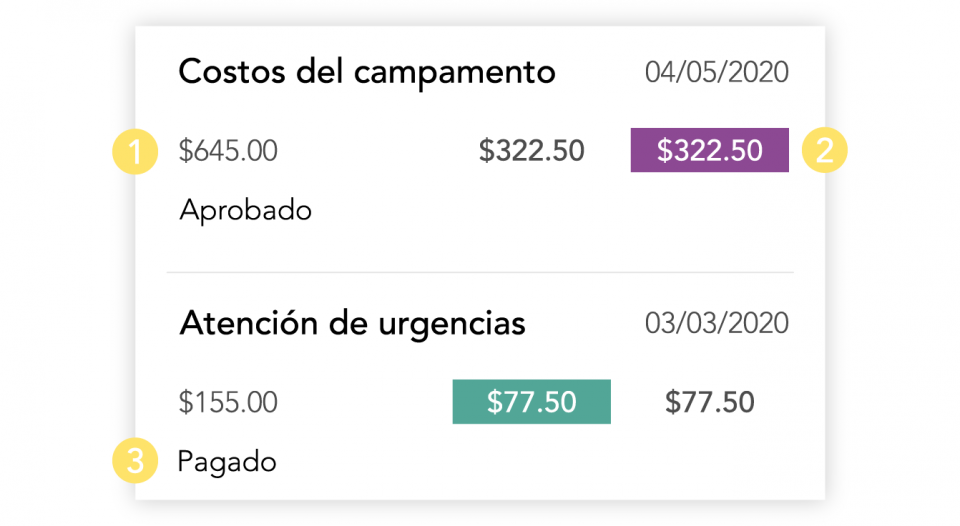 Gastos detallados para una precisión absoluta
